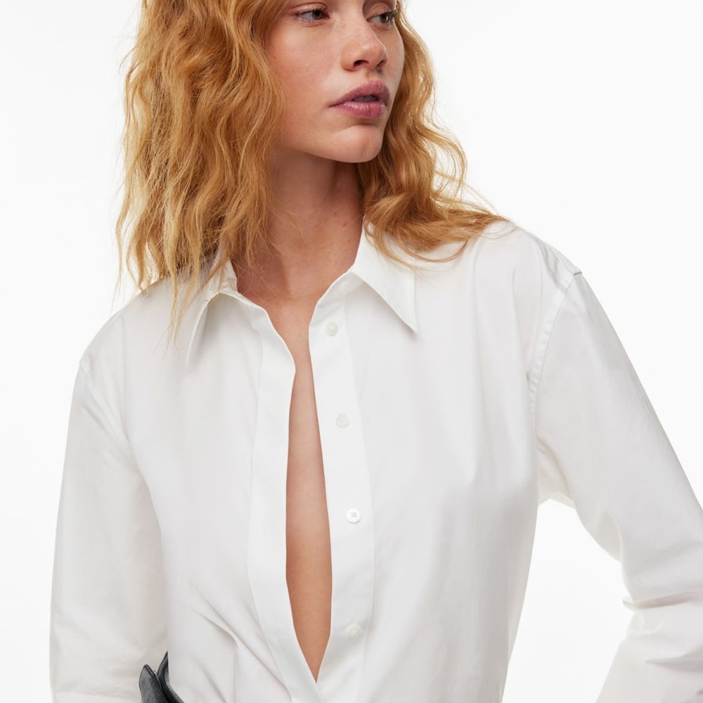 Aritzia babton cotton poplin shirt